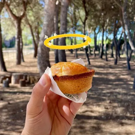 Villa Brada Carmiano (Apulia)