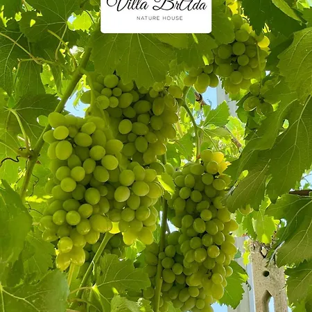 Brada Villa Carmiano (Apulia)