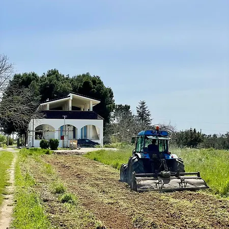 Brada Villa Carmiano (Apulia)